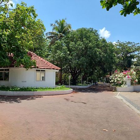 Angels Resort Aradi Socorro Экстерьер фото